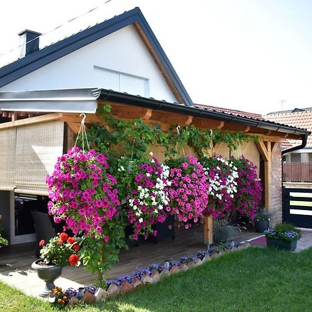 Apartman Tea Valpovo Dış mekan fotoğraf